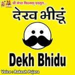 Dekh Bhidu - Sunil Soni Song Download